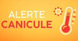 PREF49- ALERTE CANICULE